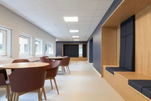 Skumfabrikken hynder kolon dsb 4