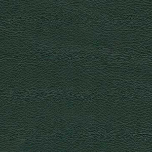 sy 5454 green Sydney Moebellaeder